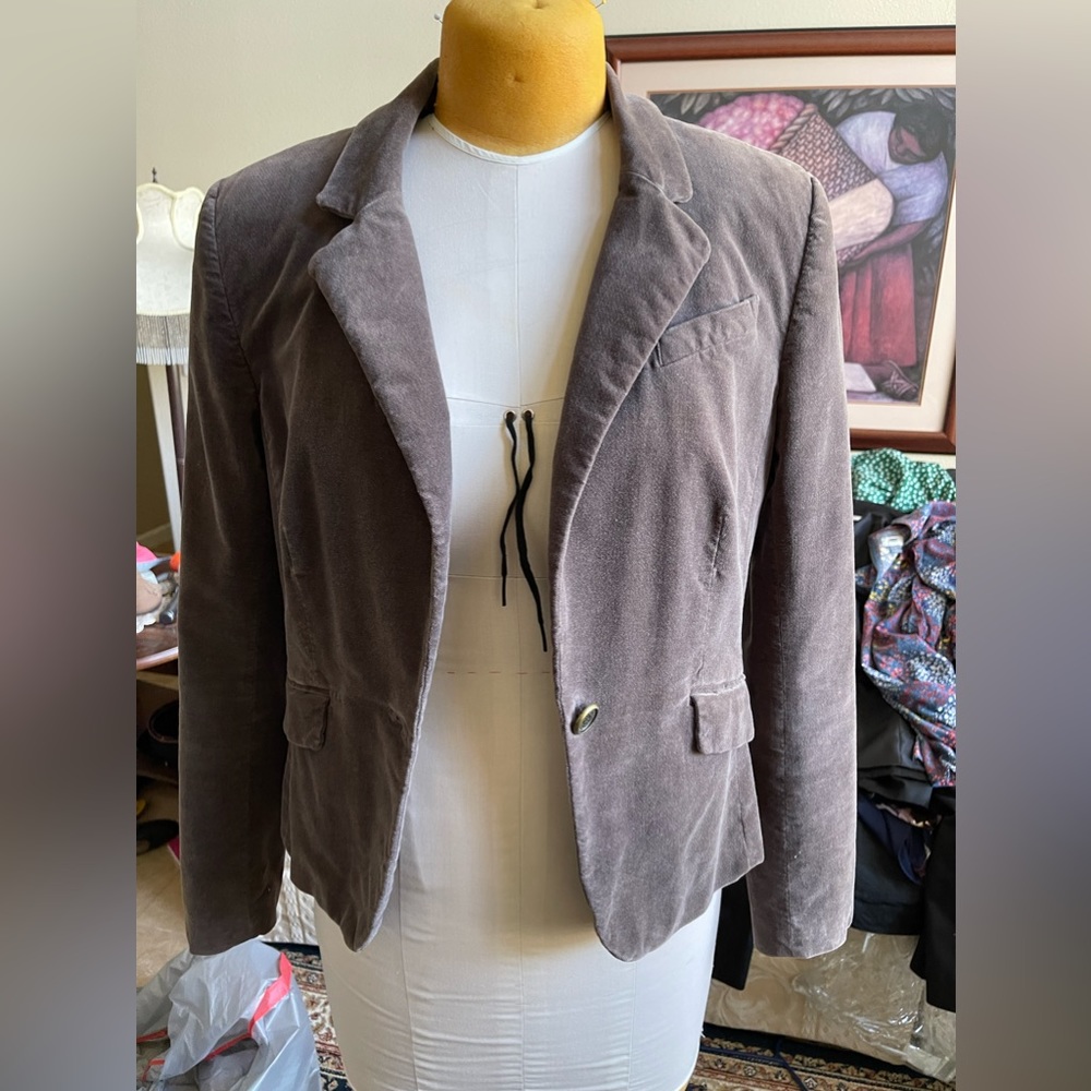 And Taylor loft velvet jacket
